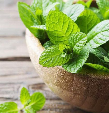 Erva Poderosa para a Saúde