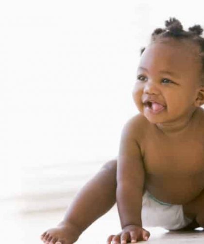 centenas de opções para te inspirar