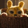 Crítica: novo “Marsupilami” diverte a família, mas falha no besteirol