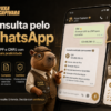 Puxa Capivara agora permite consultar CPF e CNPJ diretamente pelo WhatsApp; saiba como