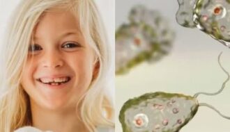 Menina de 8 anos morre após ser infectada por “ameba comedora de cérebro” nos EUA