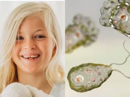 Menina de 8 anos morre após ser infectada por “ameba comedora de cérebro” nos EUA Menina de 8 anos morre após ser infectada por “ameba comedora de cérebro” nos EUA