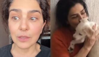 Justiça do Rio toma decisão sobre disputa de guarda de cachorro de Letícia Sabatella
