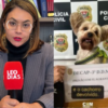 Advogada denuncia ameaças após atender mulher que teve cachorro sequestrado pelo ex