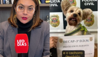 Advogada denuncia ameaças após atender mulher que teve cachorro sequestrado pelo ex
