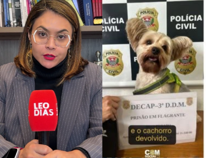 Advogada denuncia ameaças após atender mulher que teve cachorro sequestrado pelo ex Advogada denuncia ameaças após atender mulher que teve cachorro sequestrado pelo ex
