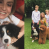 Angélica e Luciano Huck lamentam morte de cachorro da família: “Foi muito amado”