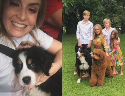 Angélica e Luciano Huck lamentam morte de cachorro da família: “Foi muito amado”